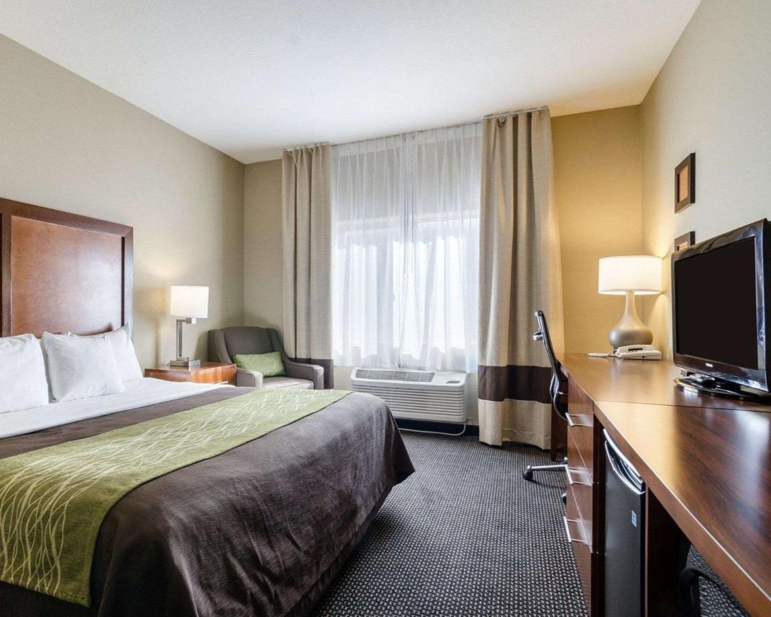 Comfort Inn Garden City Ngoại thất bức ảnh