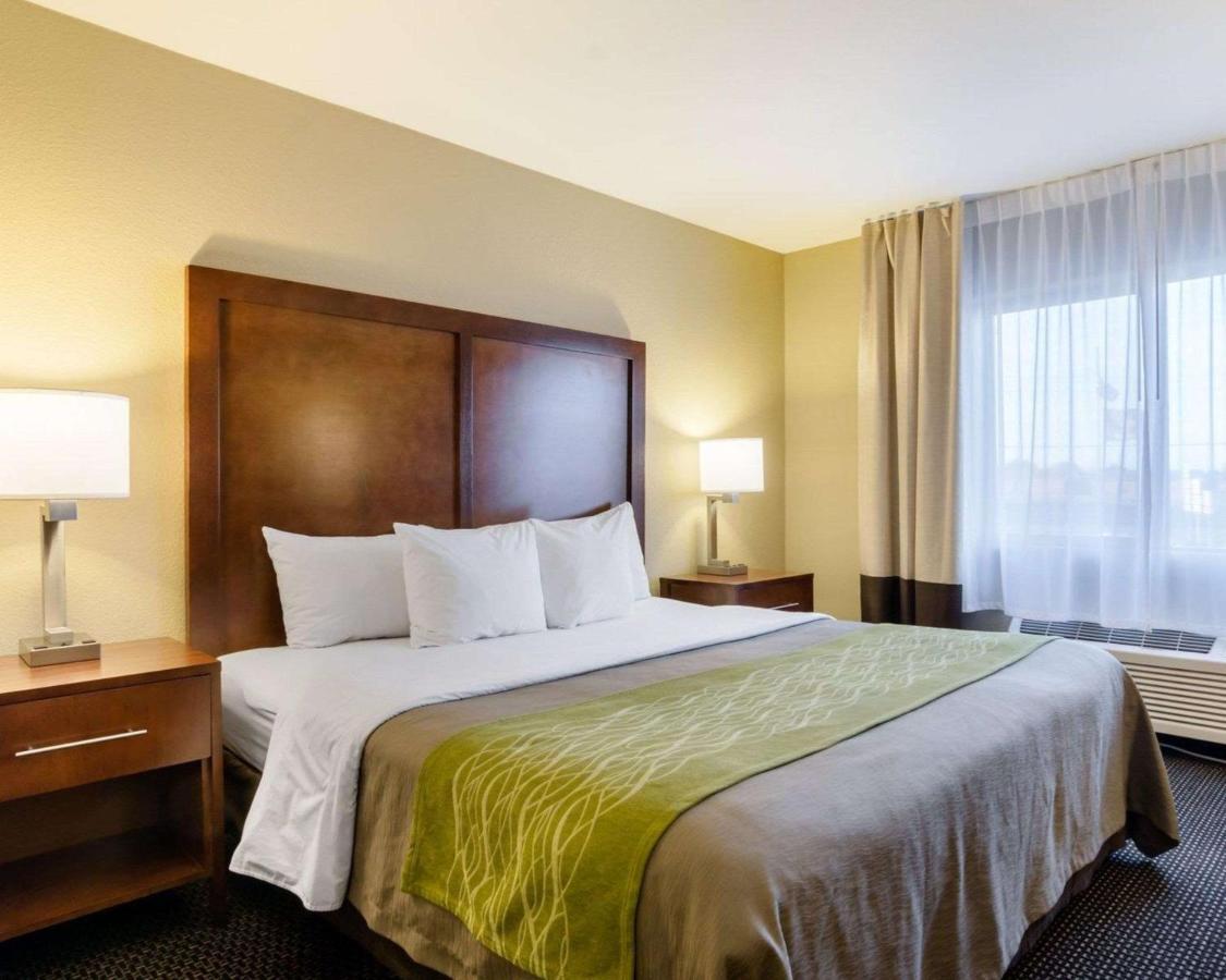 Comfort Inn Garden City Ngoại thất bức ảnh