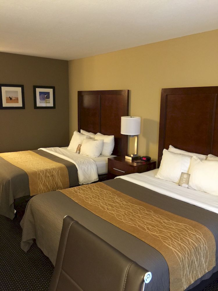 Comfort Inn Garden City Ngoại thất bức ảnh